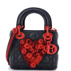 Tulle Heart Lady Dior Bag Cannage Quilt Calfskin Mini