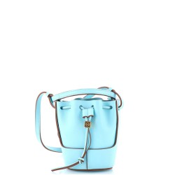 Balloon Bucket Bag Leather Nano