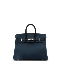 Birkin Handbag Tricolor Epsom with Palladium Hardware 25
