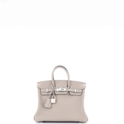 Birkin Handbag Grey Swift with Palladium Hardware 25