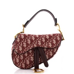Saddle Handbag Oblique Canvas Mini