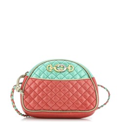 Trapuntata Camera Shoulder Bag Quilted Laminated Leather Mini