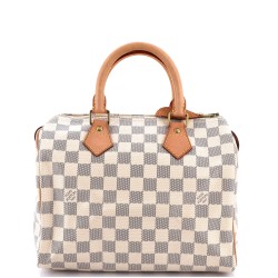 Speedy Handbag Damier 25