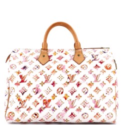Speedy Handbag Monogram Watercolor Aquarelle 35