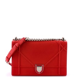 Diorama Flap Bag Grained Calfskin Medium
