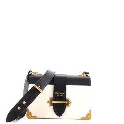 Cahier Crossbody Bag Leather and Saffiano Leather Large
