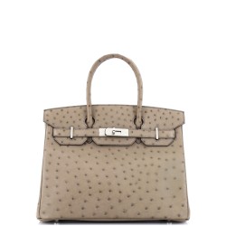 Birkin Handbag Mousse Ostrich with Palladium Hardware 30
