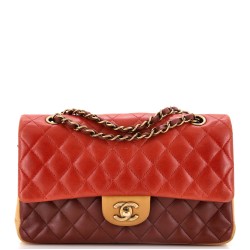 Tricolor Classic Double Flap Bag Quilted Lambskin Medium