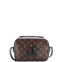 Saintonge Handbag Monogram Canvas with Leather
