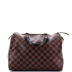 Speedy Handbag Damier 30