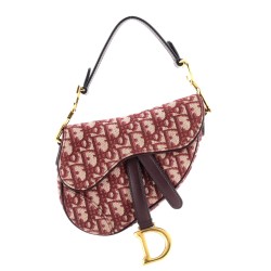 Saddle Handbag Oblique Canvas Mini