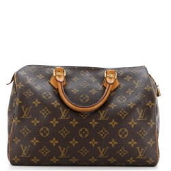 Speedy Handbag Monogram Canvas 30