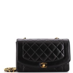 Vintage Diana Flap Bag Quilted Lambskin Medium