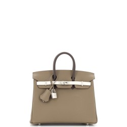Birkin Handbag Tricolor Epsom with Palladium Hardware 25
