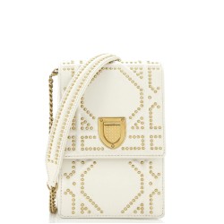 Diorama Vertical Clutch on Chain Studded Leather