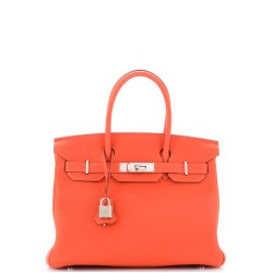 Birkin Handbag Orange Togo with Palladium Hardware 30