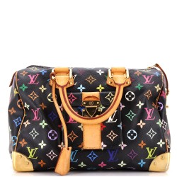 Speedy Handbag Monogram Multicolor 30