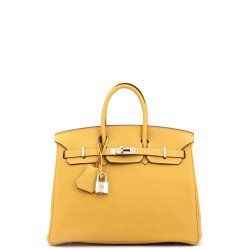 Birkin Handbag Curry Togo with Palladium Hardware 25