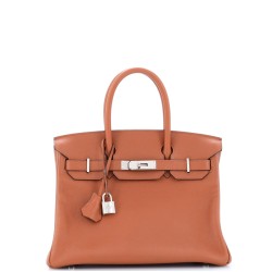 Birkin Handbag Cuivre Novillo with Palladium Hardware 30