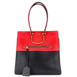 The Tall Story Tote Leather