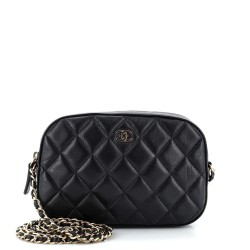 Zip Around Chain Camera Case Quilted Lambskin Mini