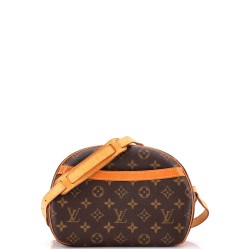 Blois Handbag Monogram Canvas