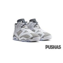 Jordan 6 Retro 'Cool Grey'(2023)