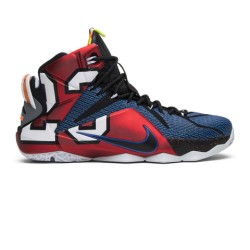 LeBron 12 'What the LeBron' (2015)
