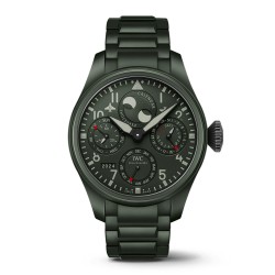 IW5031-01