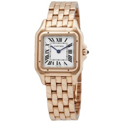 Pre-owned Cartier Panthere De Cartier Silver Dial Ladies Watch WGPN0007